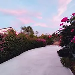 The Dragonfly Retreat