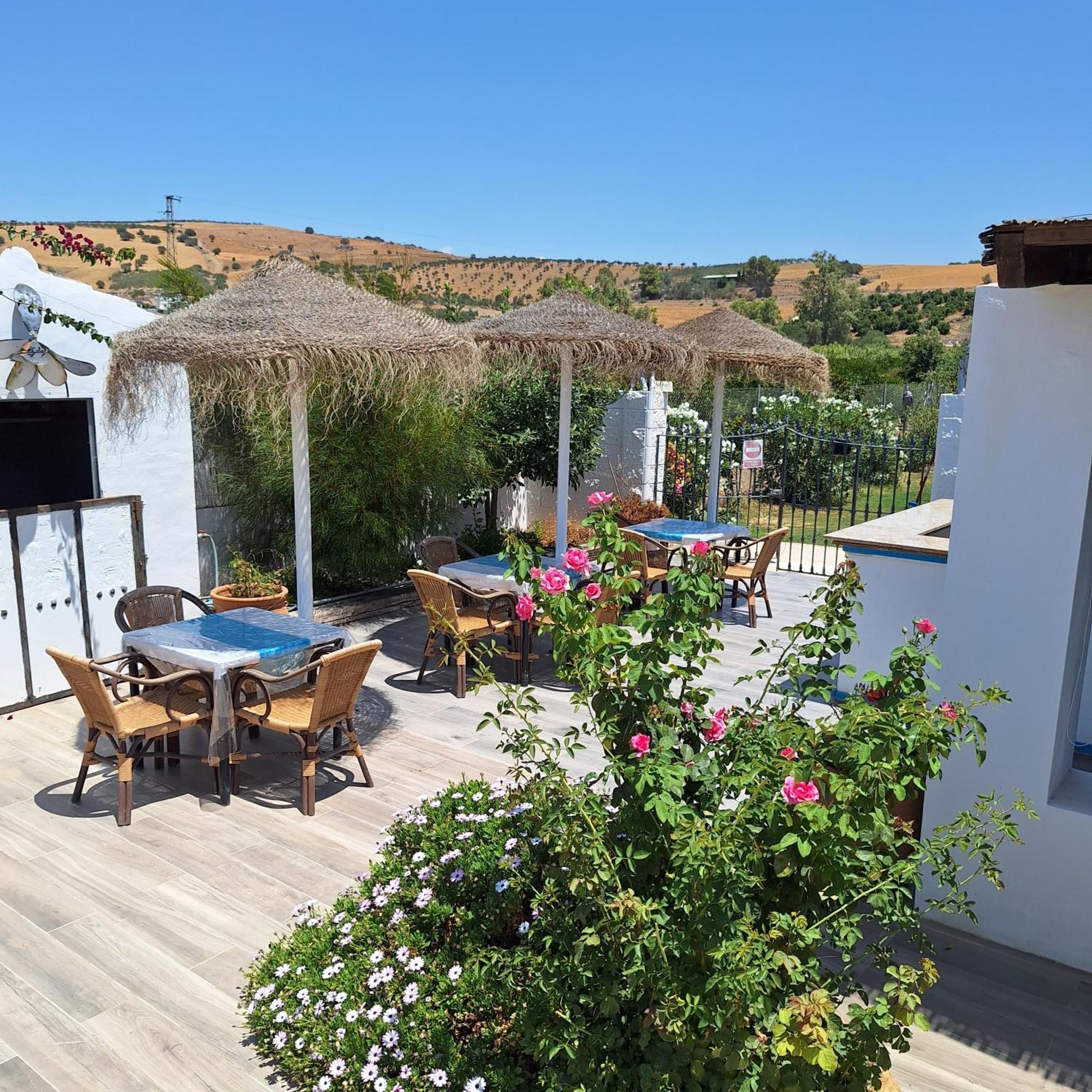 The Dragonfly Retreat Malaga