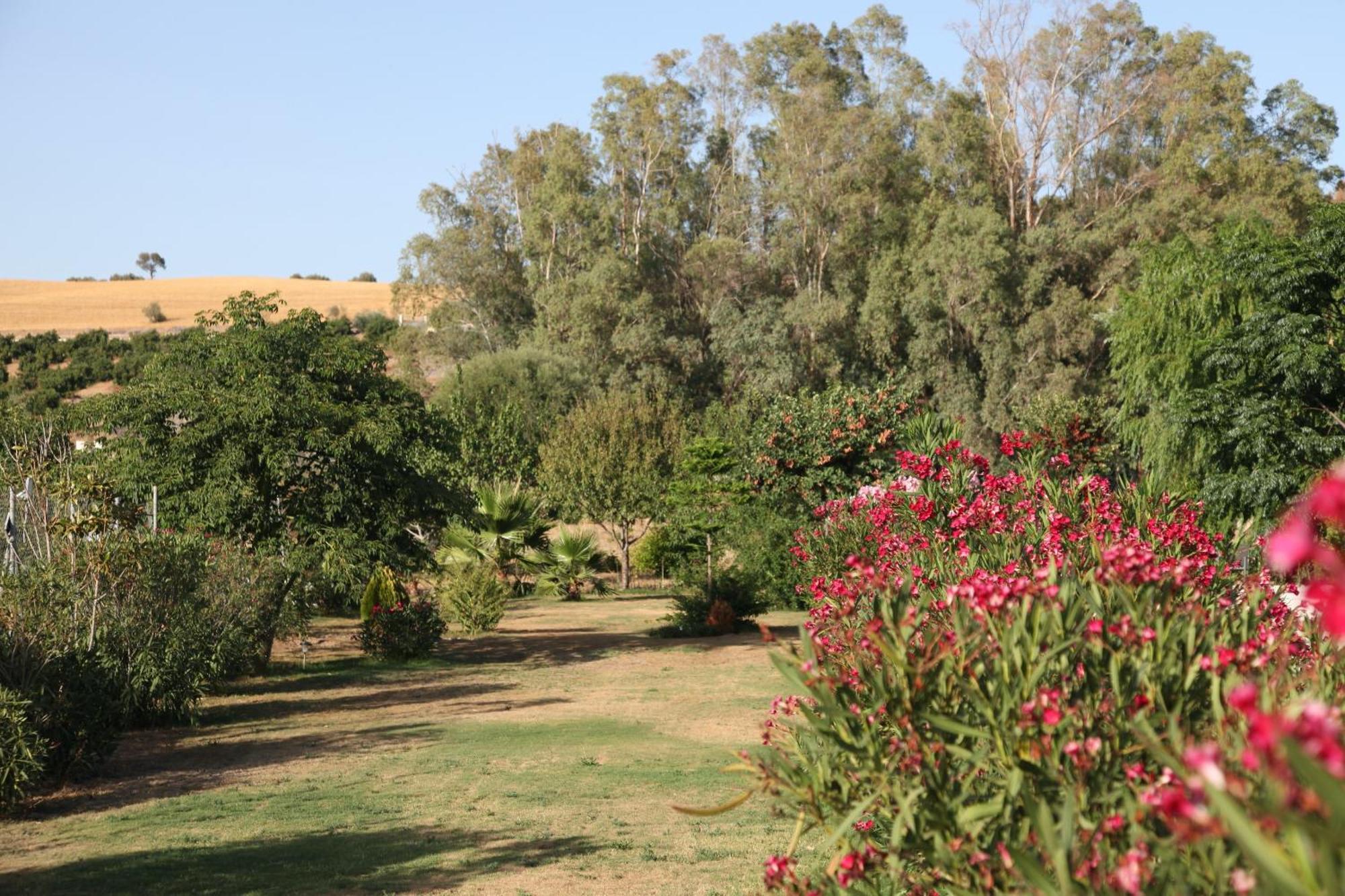 The Dragonfly Retreat Malaga