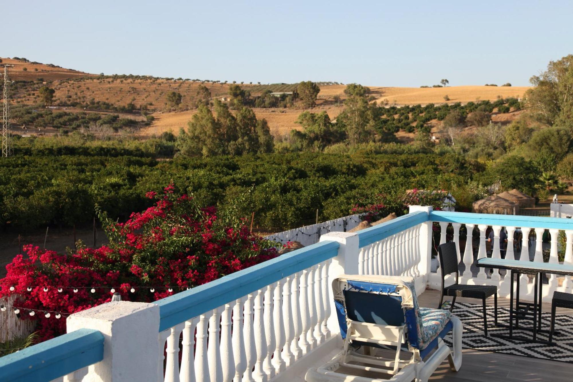 The Dragonfly Retreat Apartment Malaga
